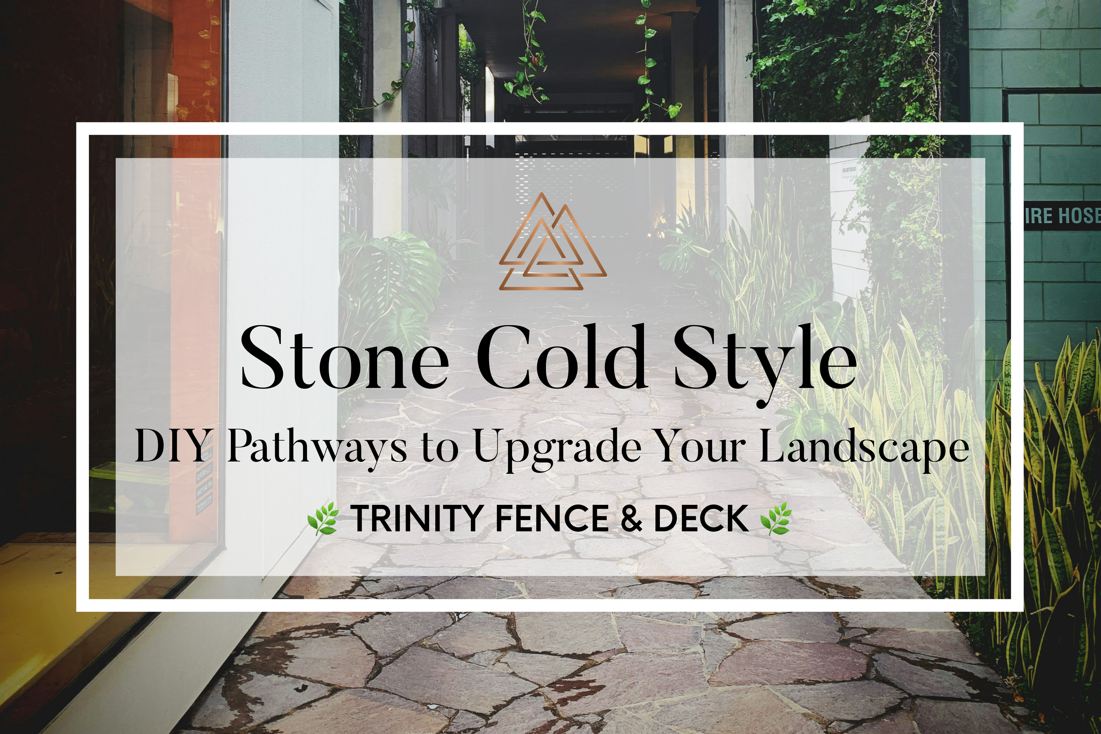 Stone pathway winding through backyard landscape with greenery on both sides and clean borders defining each stone.