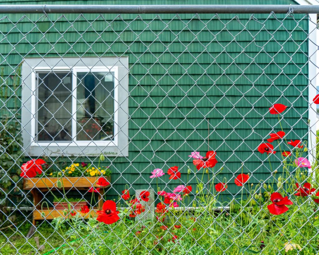 Chainlink fence with green privacy slats in front of a garden and green home exterior.