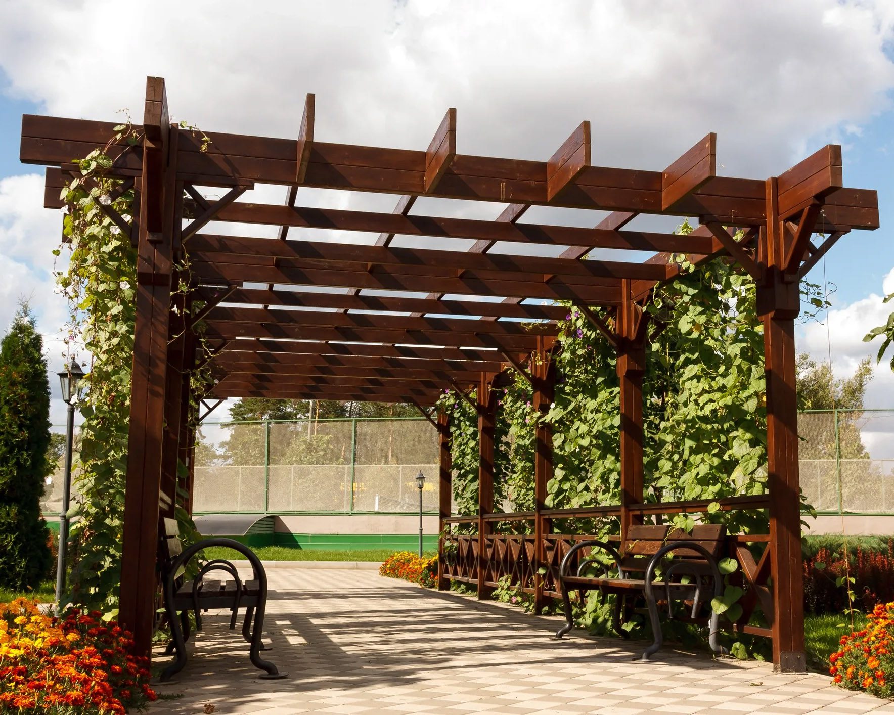 Arched pergola entry with climbing ivy and wooden garden gate