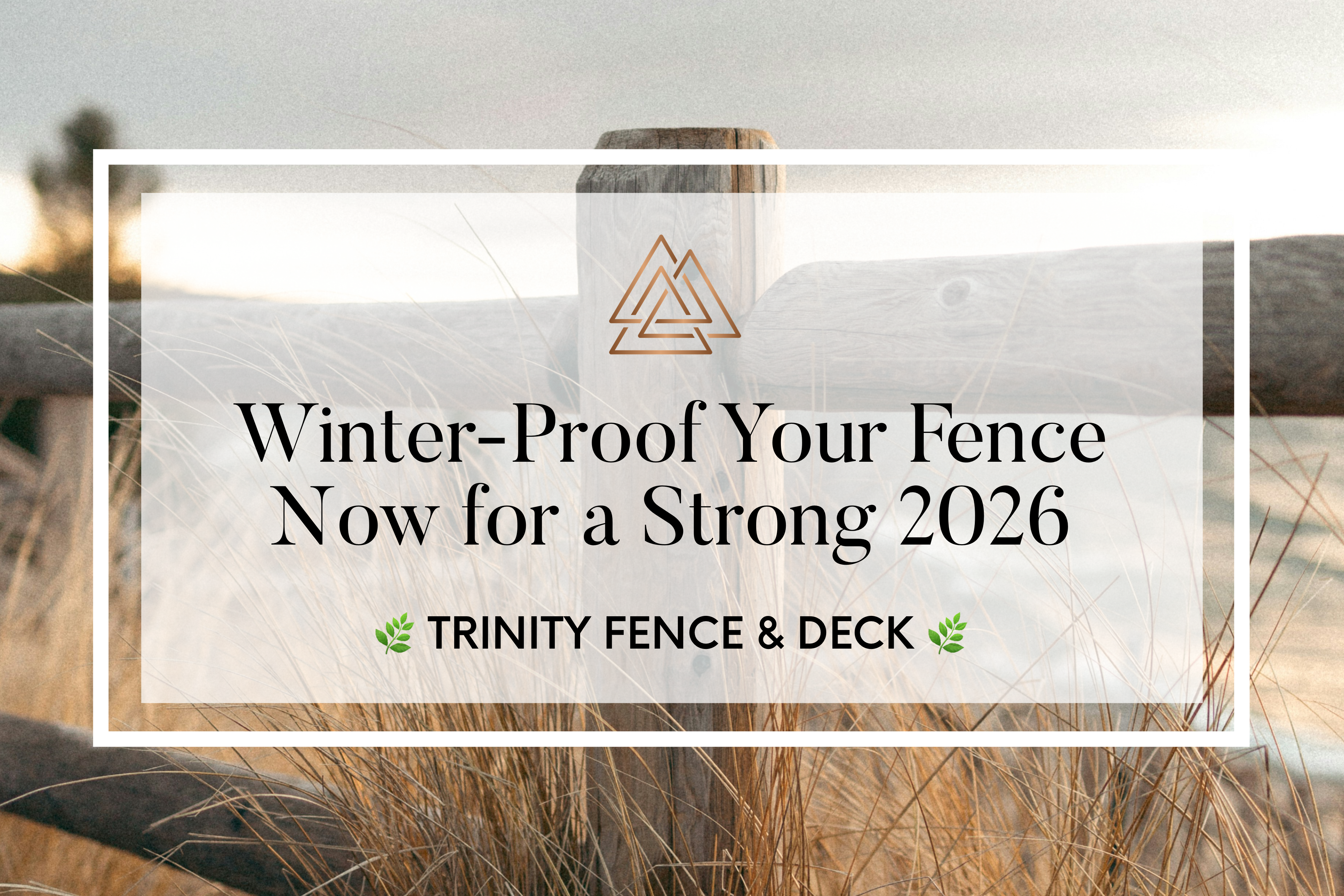 Wooden fence post surrounded by dry winter grass with a frosty, pale Texas sky in the background—symbolizing winter-proof fence preparation for 2026.