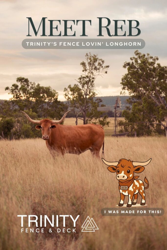 Meet Reb, Trinity’s cartoon longhorn mascot, standing proudly beside a real longhorn in a Texas pasture—where story meets symbol. Meet Reb, Trinity’s cartoon longhorn mascot, standing proudly beside a real longhorn in a Texas pasture—where story meets symbol.