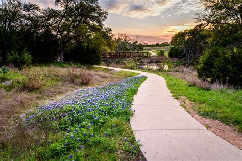 A modern backyard deck in Cedar Park featuring comfortable seating and native plants. A modern backyard deck in Cedar Park featuring comfortable seating and native plants.