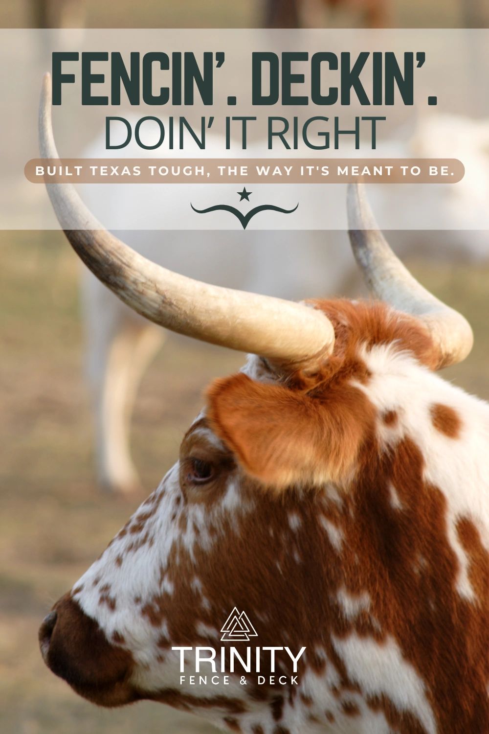 Texas longhorn image promoting custom fences and decks by Austin builder Trinity Fence & Deck. Texas longhorn image promoting custom fences and decks by Austin builder Trinity Fence & Deck.