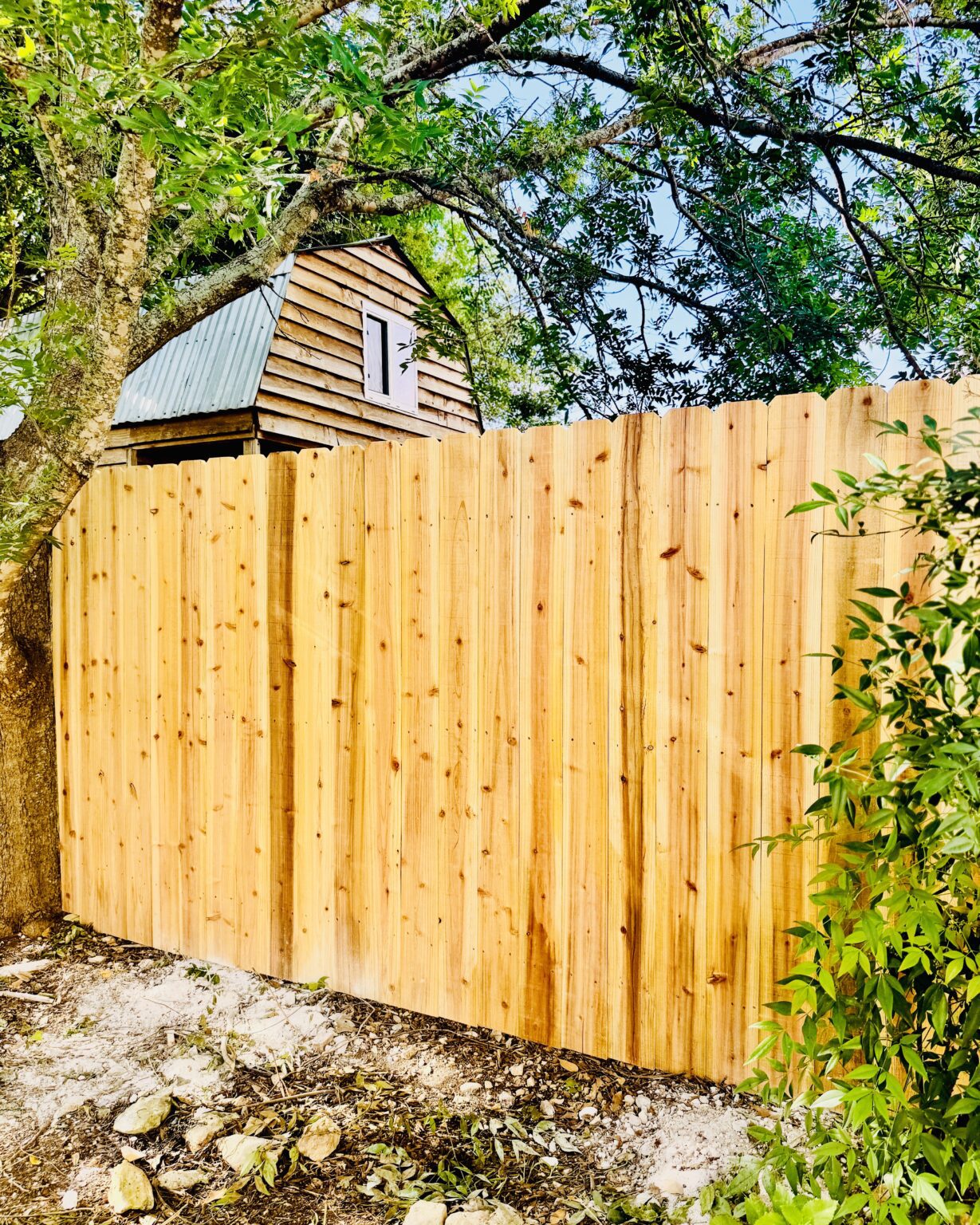 https://trinityfenceanddeck.com/wp-content/uploads/2025/06/TFD-Cedar-Privacy-Fence-Install-with-Natural-Curve-1229x1536.jpg