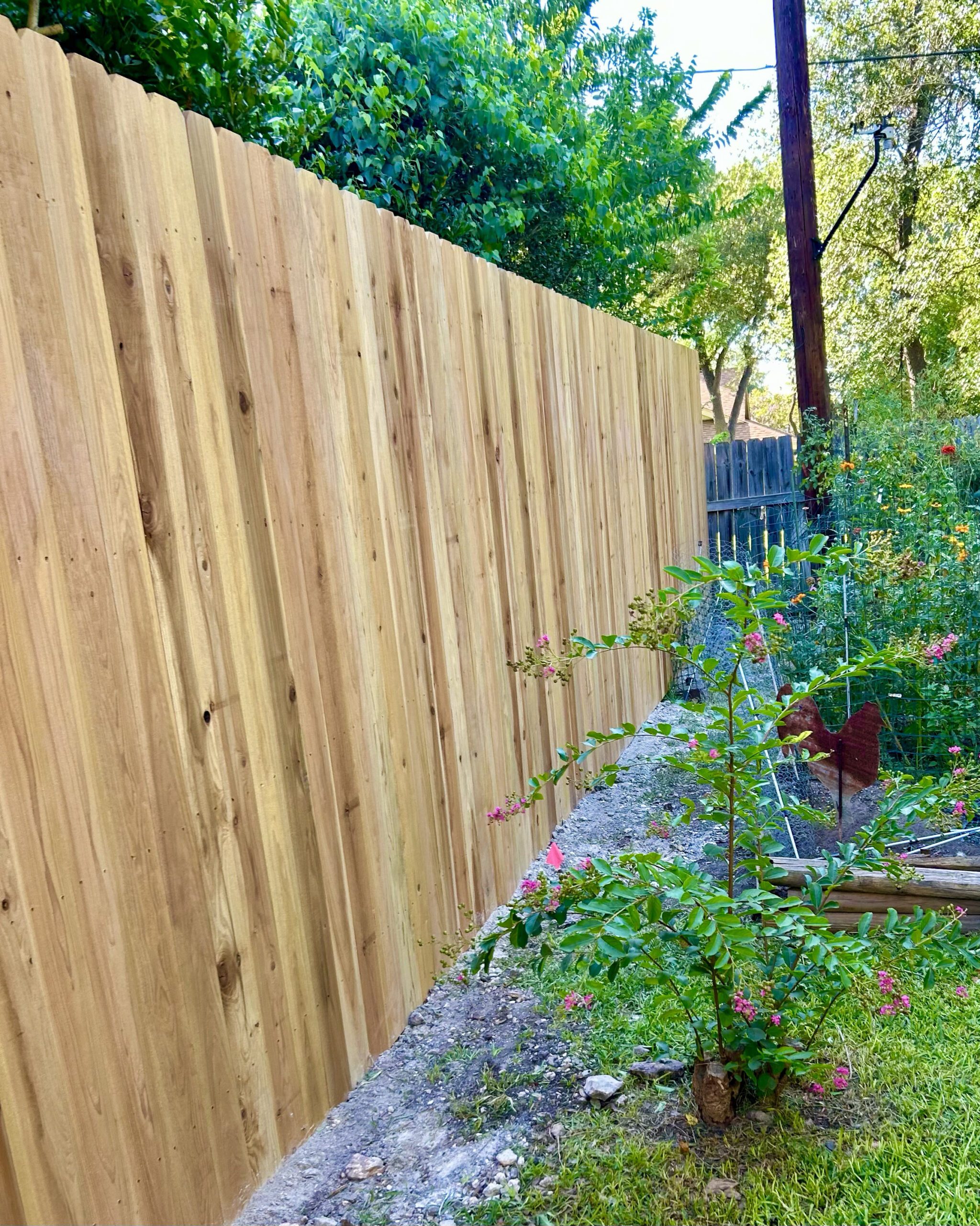 Fresh vertical cedar fence running along a garden bed with flowering plants in front.