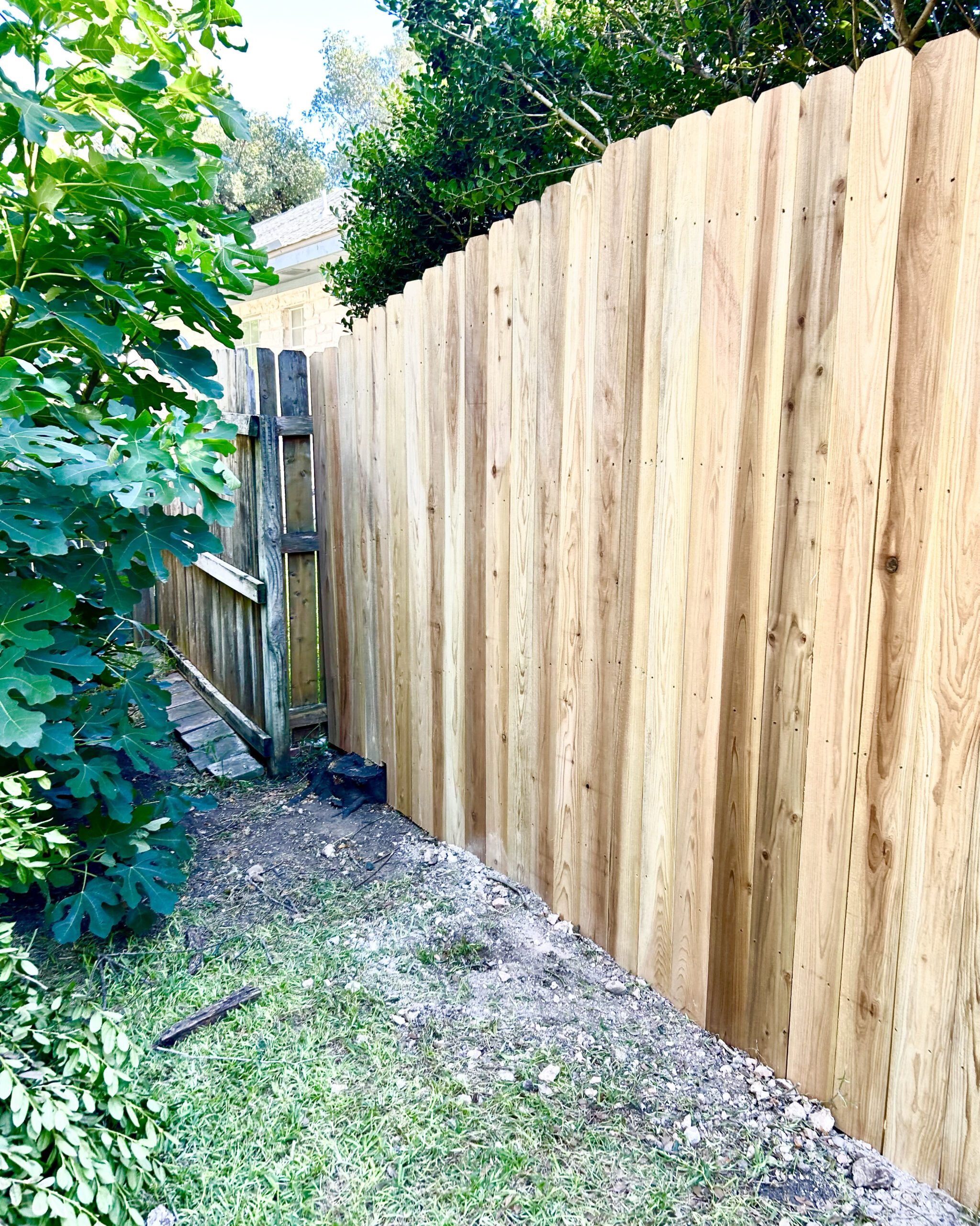 New vertical cedar privacy fence along side yard with clean base and vegetation on the left.