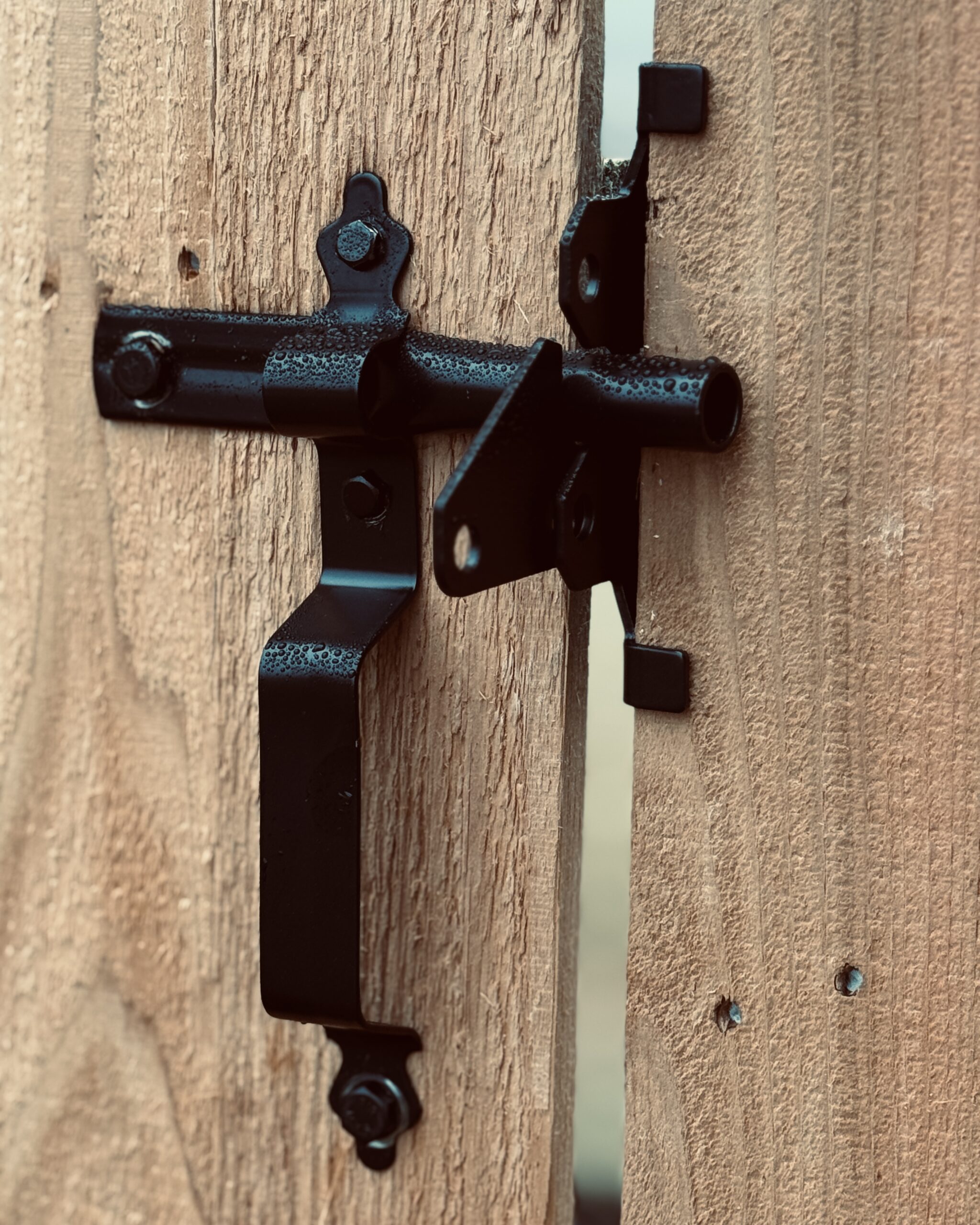 Close-up of black metal gate latch with water droplets on cedar privacy fence