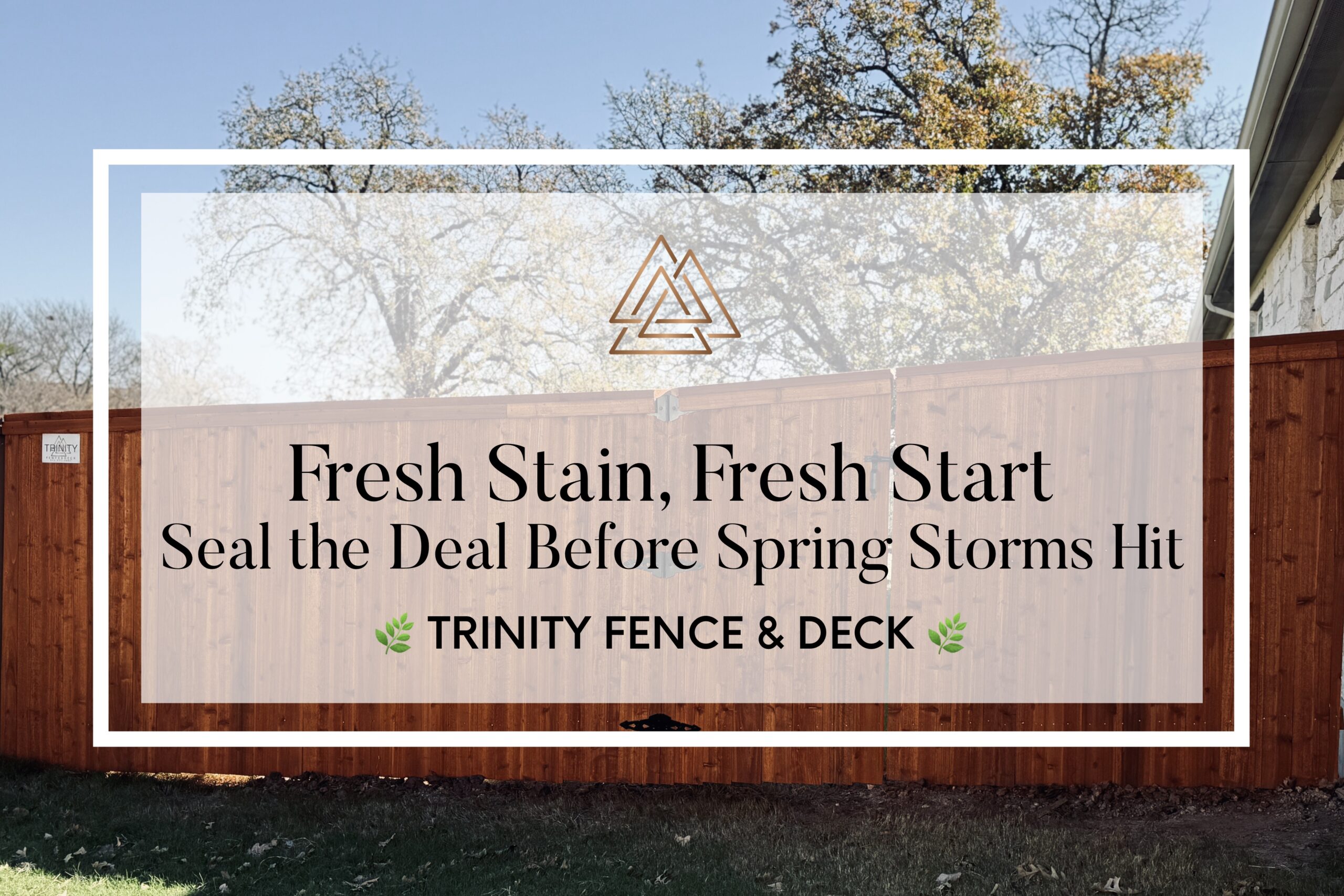 Freshly stained cedar privacy fence with warm brown finish, promoting fence staining and sealing services by Trinity Fence & Deck before spring storms.